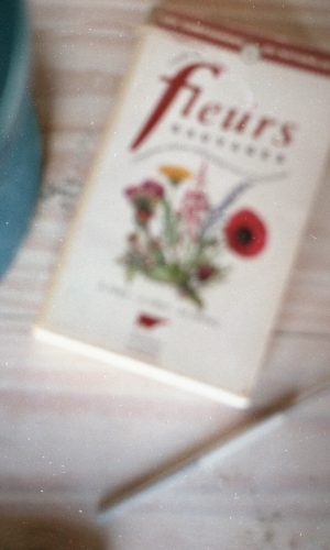 FLEURS SAUVAGES146